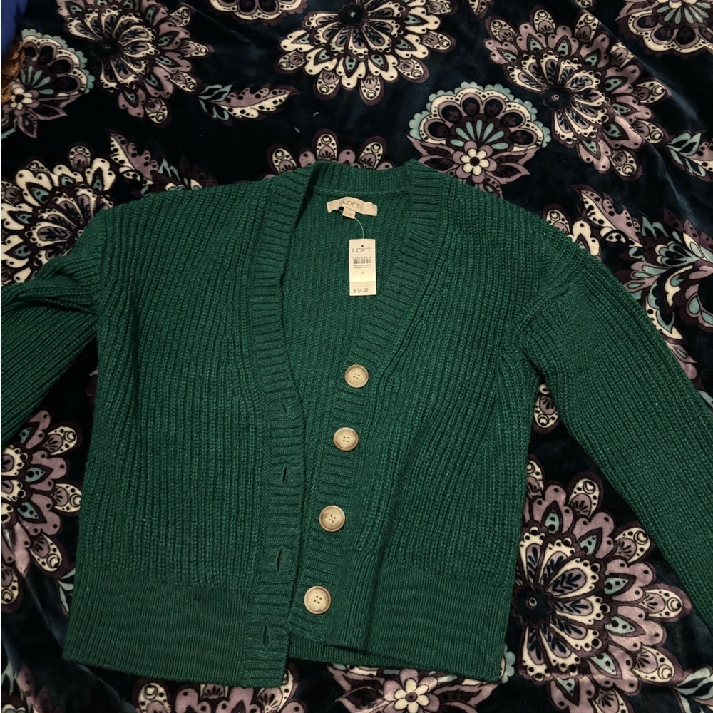 Loft green sweater NWT